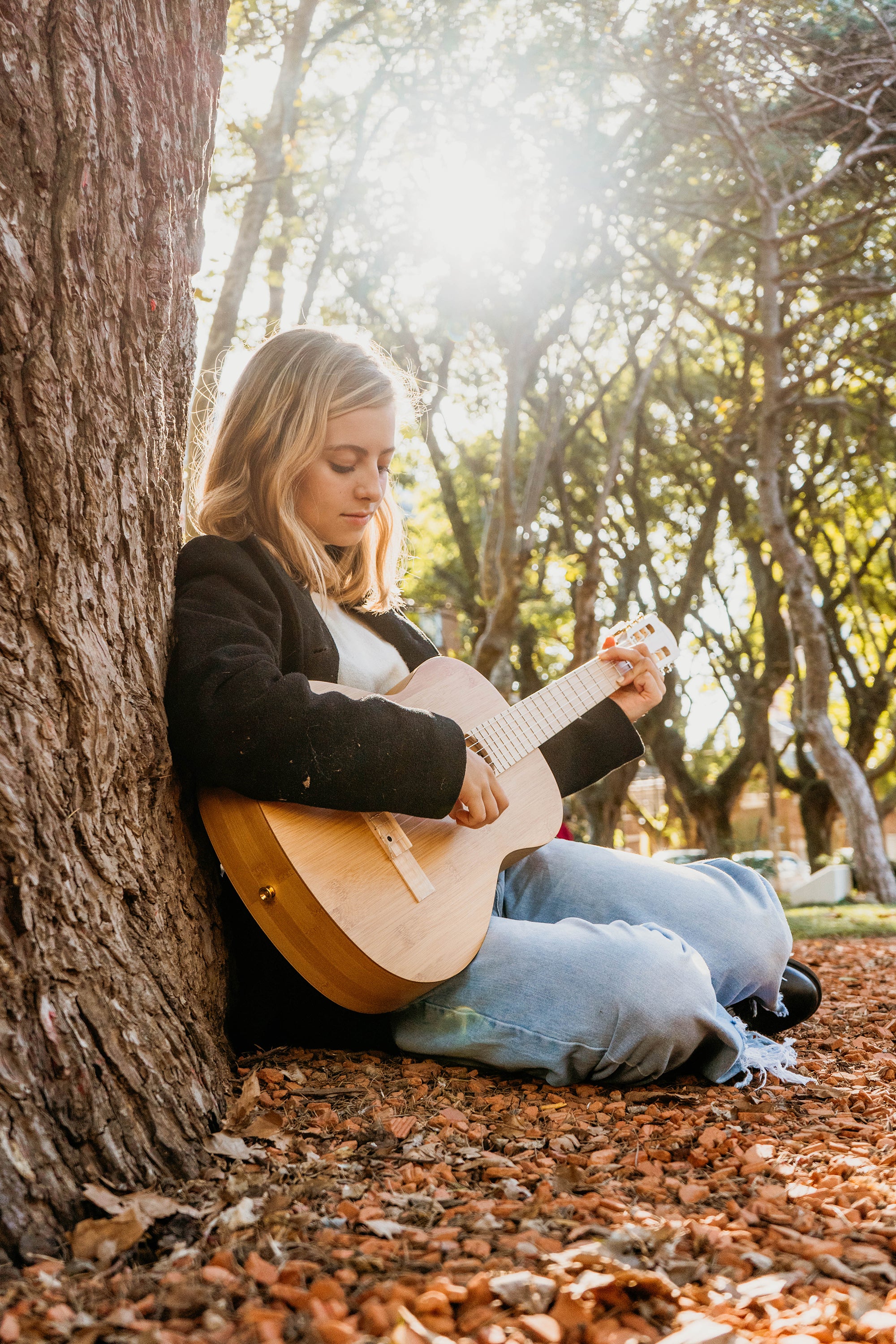 1 Guitarra 1 Árbol